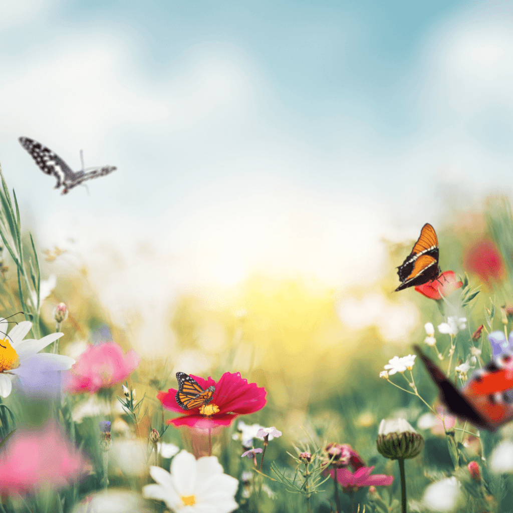 Multigeurstof | 3 geuren